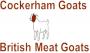 Cockerham Goats